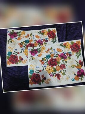 The Pioneer Woman Timeless Floral Reversible Placemat X2